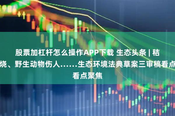 股票加杠杆怎么操作APP下载 生态头条 | 秸秆焚烧、野生动物伤人……生态环境法典草案三审稿看点聚焦