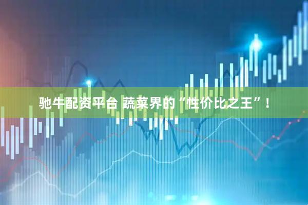 驰牛配资平台 蔬菜界的“性价比之王”！
