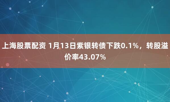 上海股票配资 1月13日紫银转债下跌0.1%，转股溢价率43.07%